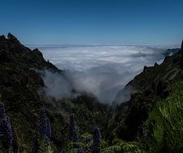 Pico Ruivo - Funchal
